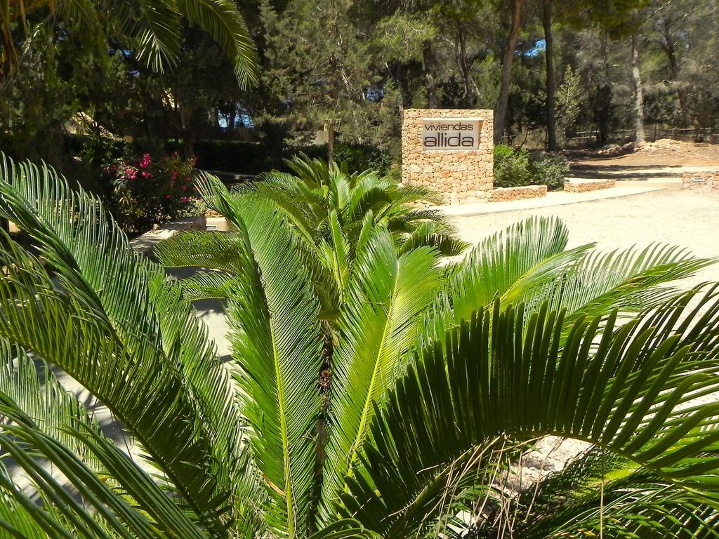Viviendas Turisticas Vacacionales Allida Playa Migjorn Buitenkant foto