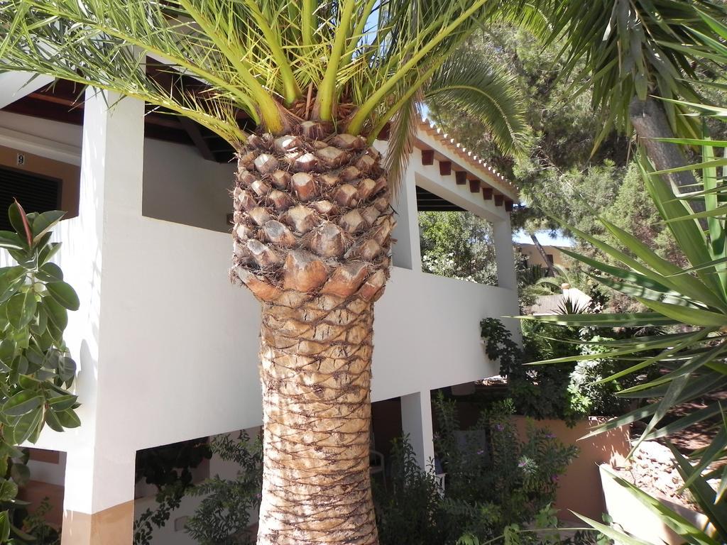 Viviendas Turisticas Vacacionales Allida Playa Migjorn Buitenkant foto